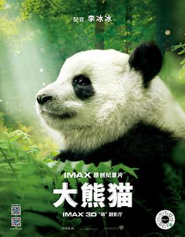 大熊猫青青