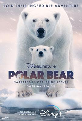 魔幻电影北极熊在线观看